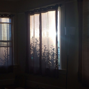 人妻系列无码专区无码中出
