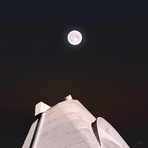 上海熟妇搡BBBB搡BBBB
