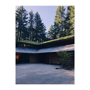 狗与猪锁住视频大全原声一
