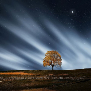 骚妇自卫动漫小说
