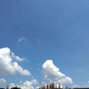 国产浓毛大泬熟妇
