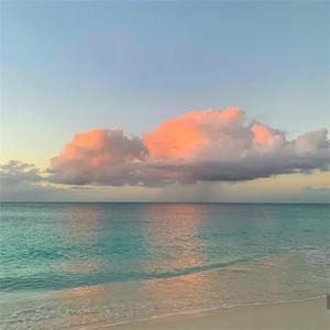 色在线视频观看
