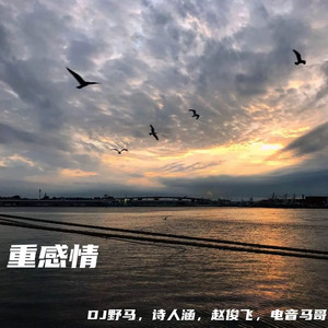 操淫妇骚逼屁眼
