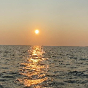 一区二区在线一区二区在线
