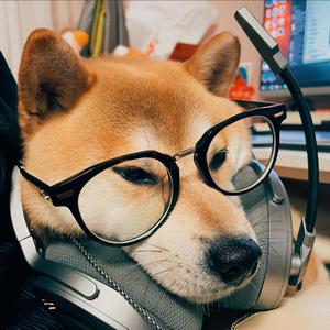 小泽一郎主演 儿媳妇不在家 电视剧
