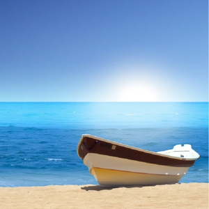 精品一区二区三区五区六区七区
