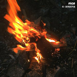 色肉色轮交AV色肉色轮金牛
