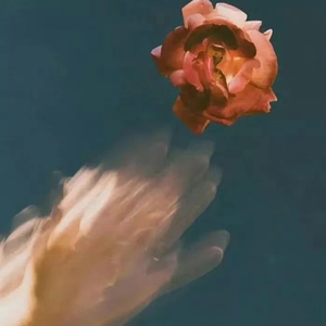 欧美女人和猪内谢视频
