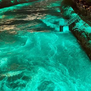 免费的全黄A片自慰
