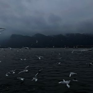 变性人黄A片免费
