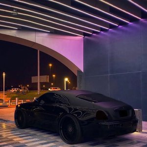 レストラント排泄脱粪呕吐
