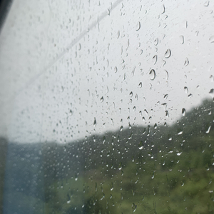 刘嘉玲被劫案视频网站在线观看
