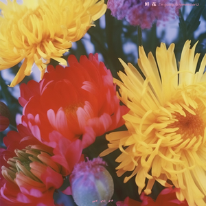 摄像头中年夫妇真实照片
