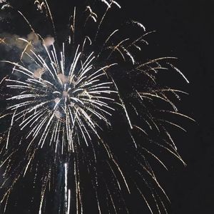 国产美女自慰在线观看
