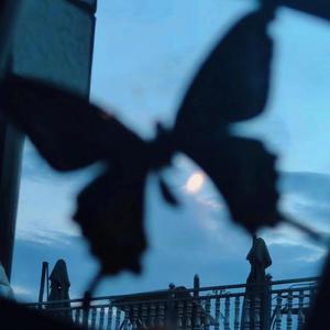 AV中文无码乱人伦在线观看
