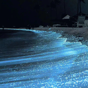 蘑菇TV官网进入
