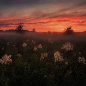 日本地铁顶臀视频无码
