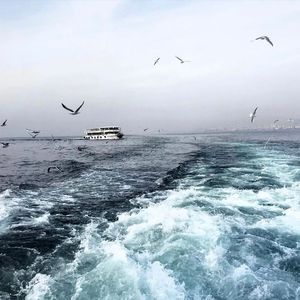 插入美女阴郭30分钟的高清视频
