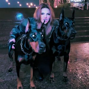 最新国产极品高清
