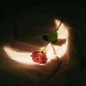 zzijzzij亚洲日本护士
