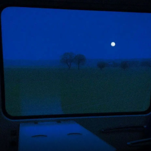 美国黑女人呵男人交配发清视频
