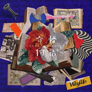 波霸少女高清在线观看
