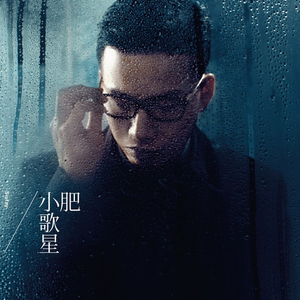 东北浓毛少妇A片
