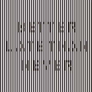 熟妇日本黑毛BwwHD
