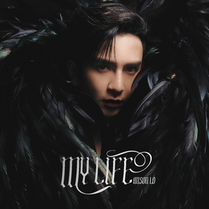 日韩久久av免费
