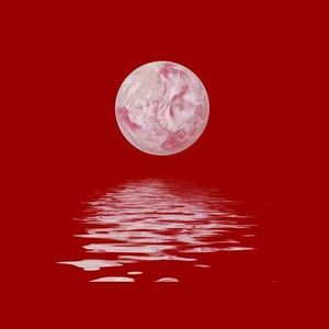 chihese公厕toiet美女
