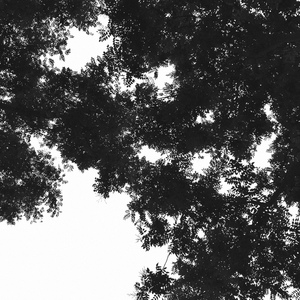 扒开老师衣服吃她的奶头动漫
