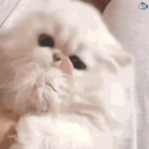 男女在浴缸里摸胸视频
