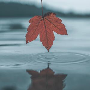 欧美美女日妣无遮挡
