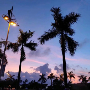 人妖与女人性校配视频
