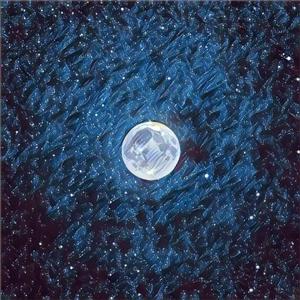 人野兽马狗猪大全小说
