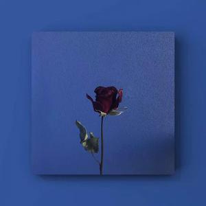 水菜丽被三个黑人一起
