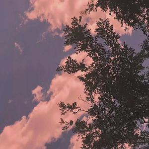 人妖sarina裸体自慰
