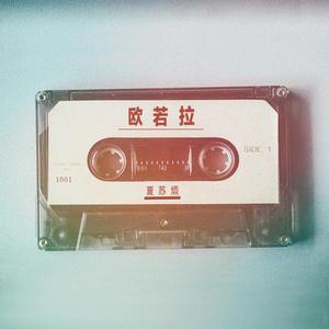 レストラント排泄脱粪呕吐
