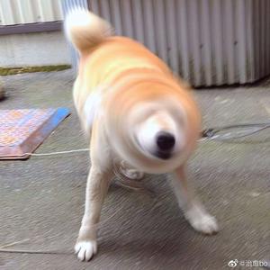 国产一级a毛一级a看免费视频乱
