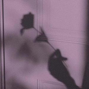 免费看成年入口网站
