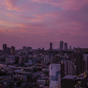 涩里番网页版人口
