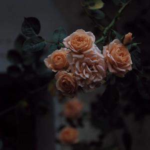 爽⋯躁多水⋯快⋯高潮了糖心
