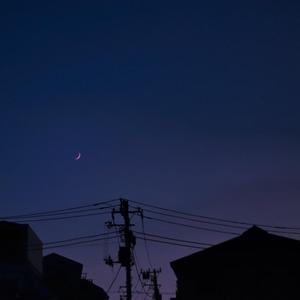 小女生隐藏配位
