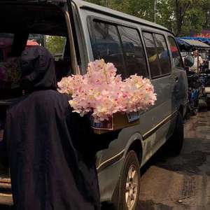 德国的老女人大阴唇视频
