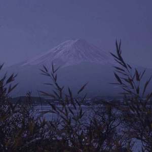 美味宾馆喝醉人视频
