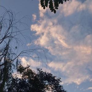 一区二区在线一区二区在线
