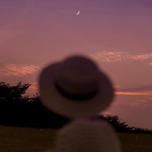 欧美人与动牲交a欧美精品
