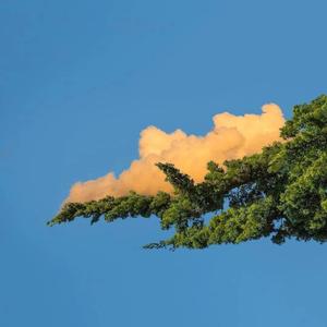 俄罗斯少年情色黄色
