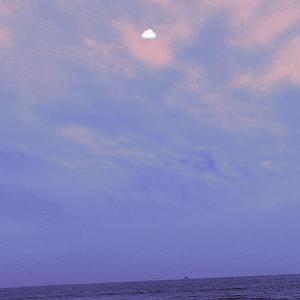 老司机福利免费
