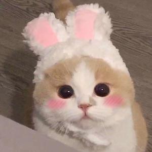 欧美性受xxxx喷水视频
